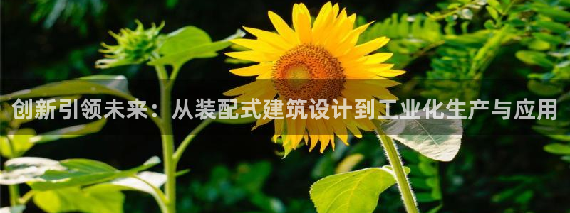 谈球吧首充金额截图