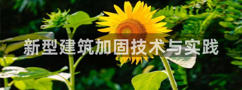 谈球吧是黑台子吗还是白台子