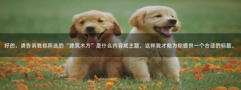 谈球吧官网在线入口免费观看视频