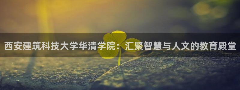 谈球吧官网在线入口网址