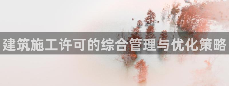 谈球吧官网入口：建筑施工许可的综合管理与优化策略