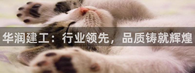 谈球吧体育app下载官网手机版：华润建工：行业领先，品质铸就辉煌