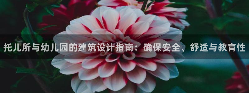 谈球吧官网在线入口免费观看高清视频