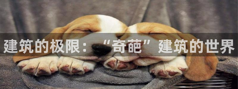 谈球吧在线登陆：建筑的极限：“奇葩”建筑的世界