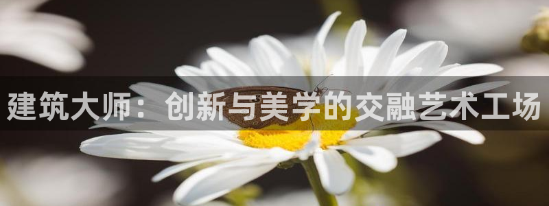 谈球吧app体育下载官网：建筑大师：创新与美学的交融艺术工场