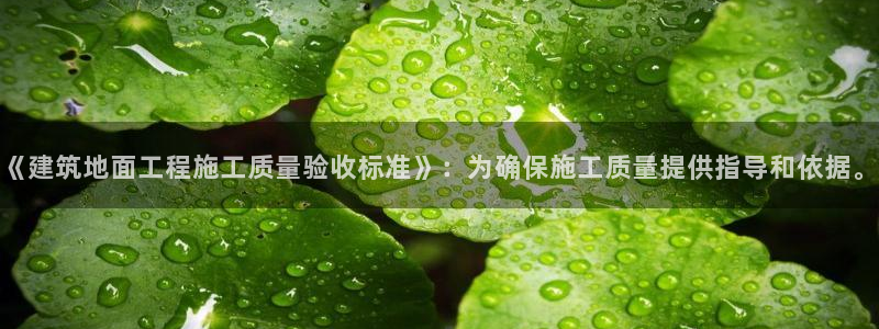 谈球吧app体育下载：《建筑地面工程施工质量验收标准》：为确保施工质量提供指导和依据。