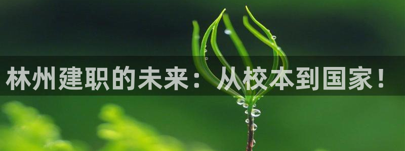 谈球吧的聊天软件下载