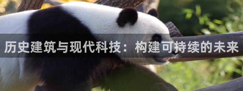 谈球吧体育app下载中心官网苹果