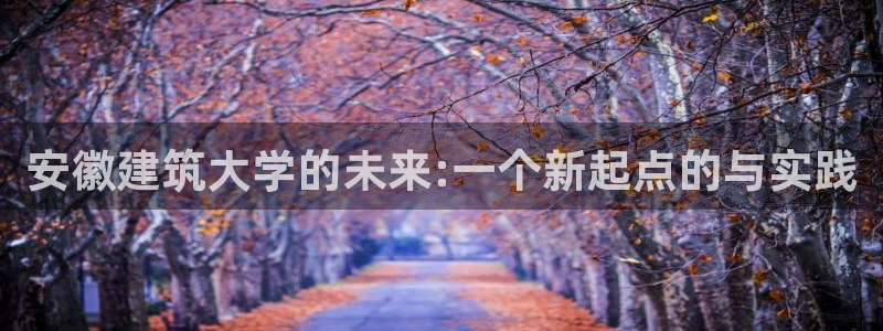 谈球吧咋样黑钱