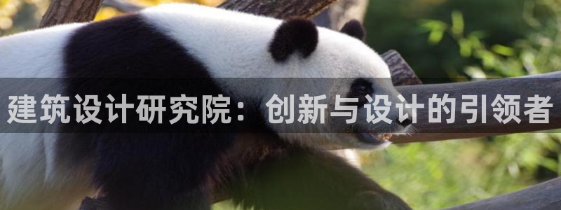 谈球吧体育app下载中心官网苹果