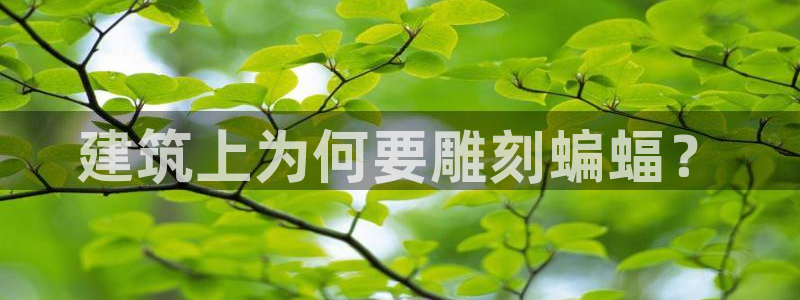 谈球吧APP开元