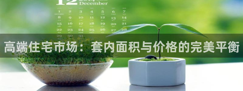 谈球吧体育app下载足球比赛视频