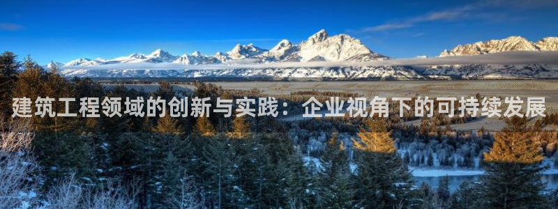 谈球吧的聊天软件