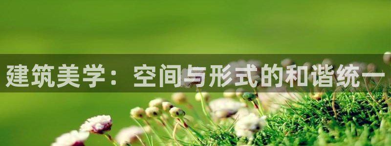 谈球吧体育app下载官网手机版苹果