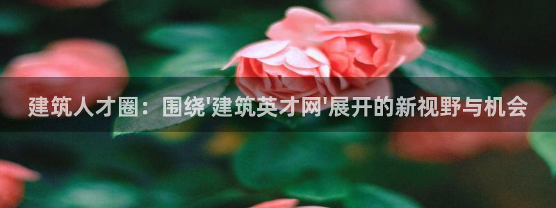 谈球吧官网在线入口网址