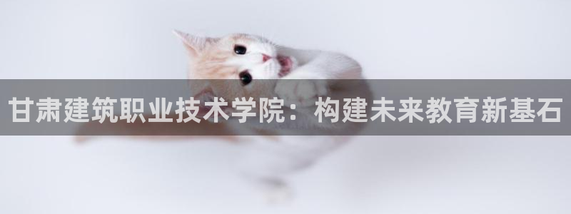 谈球吧网页登录