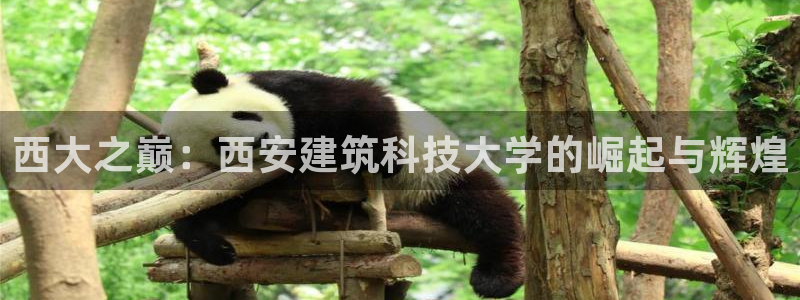谈球吧真人