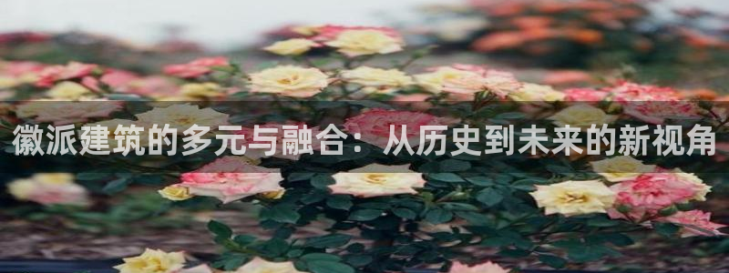 谈球吧app体育