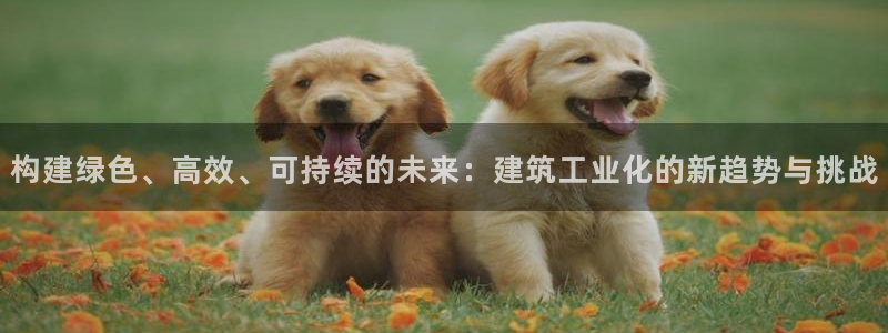 谈球吧体育app下载中心：构建绿色、高效、可持续的未来：建筑工业化的新趋势与挑战