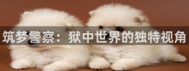 谈球吧平台正规吗可靠吗