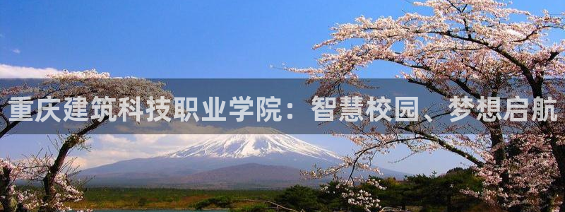 谈球吧tvt：重庆建筑科技职业学院：智慧校园、梦想启航