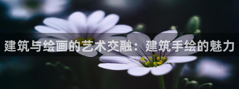 谈球吧是正规平台吗安全吗