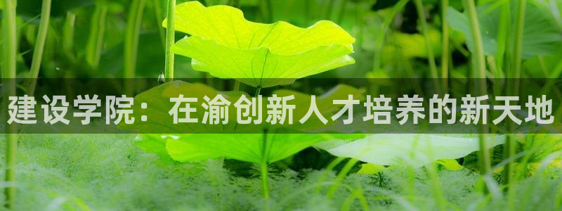 谈球吧在线登录免费观看