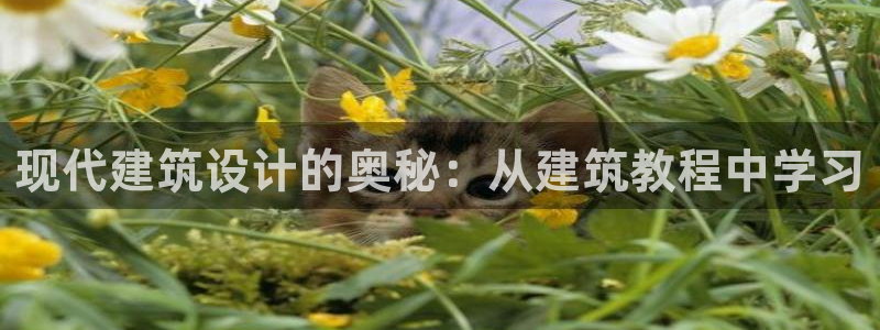 谈球吧体育app下载足球比赛视频