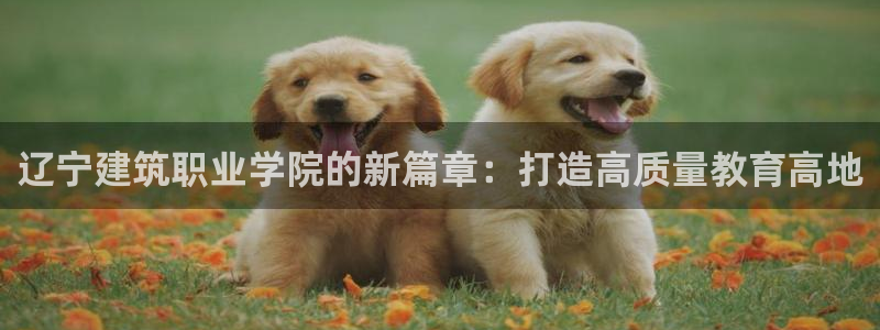 谈球吧体育app登陆不上