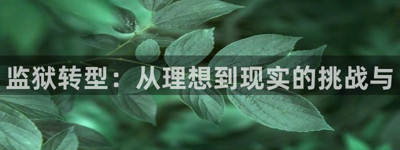 谈球吧app赛事分析在哪里看