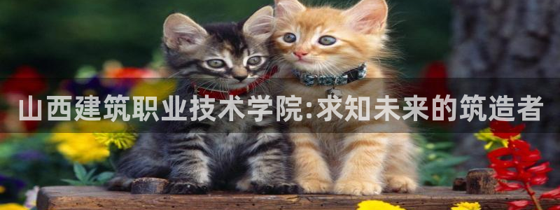 谈球吧是黑台子吗还是白台