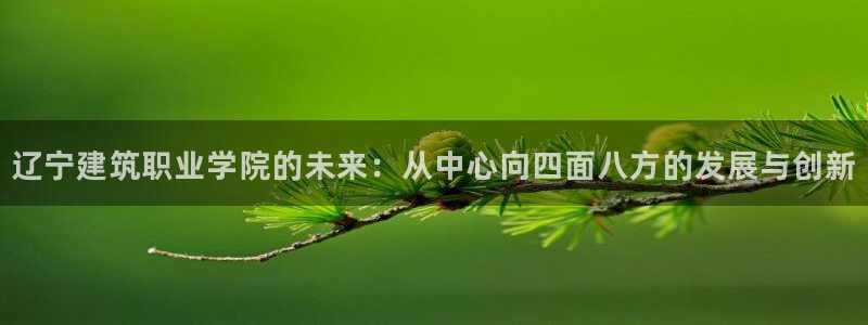 谈球吧是正规平台吗知乎：辽宁建筑职业学院的未来：从中心向四面八方的发展与创新