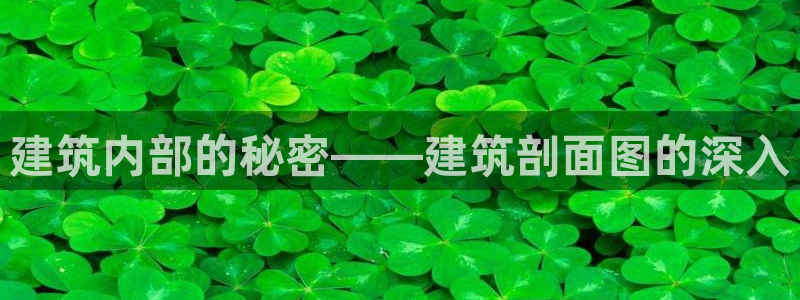 谈球吧官网在线入口手机版下载