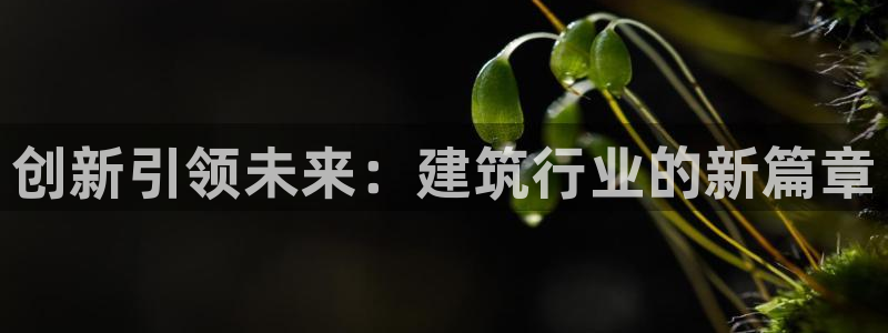 谈球吧全站app下载手机版