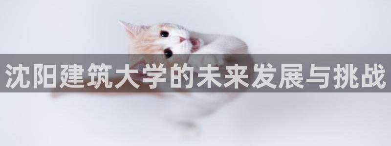 谈球吧怎么充值