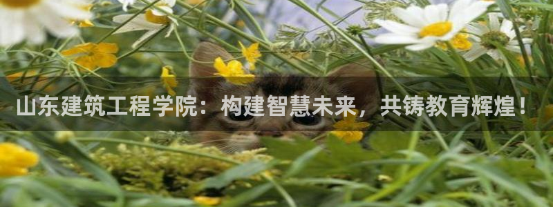 谈球吧体育app登陆不了