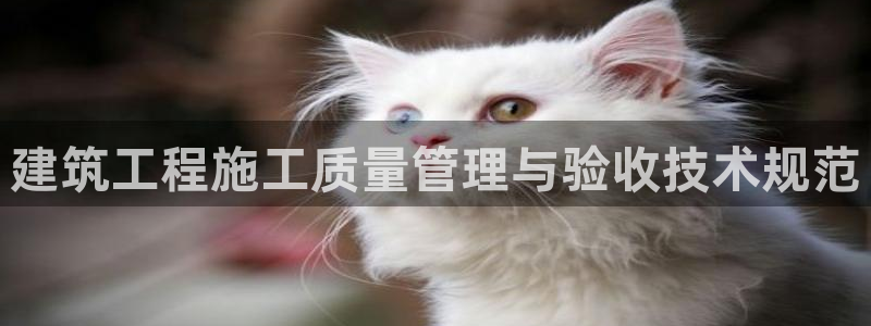 谈球吧官网在线入口手机版下载安装