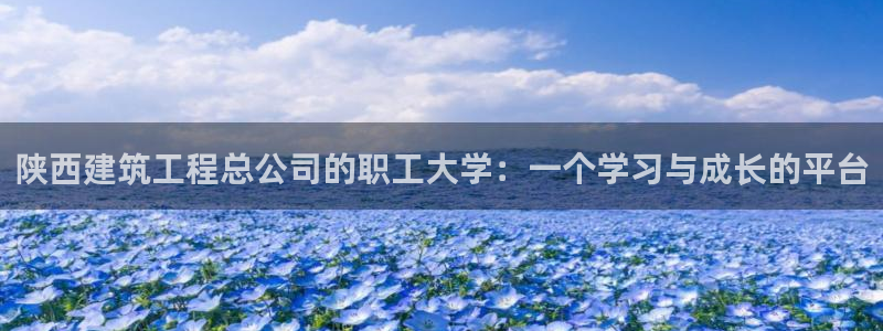 谈球吧官网在线入口手机版下载