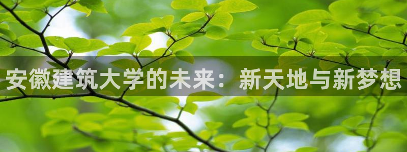 谈球吧买球靠谱吗
