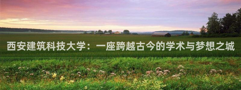 谈球吧app体育