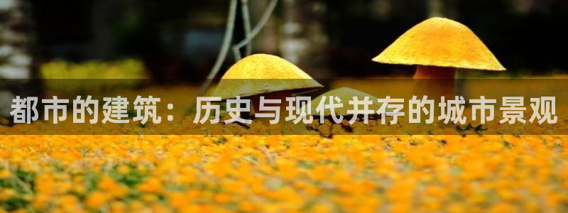 谈球吧app下载安装