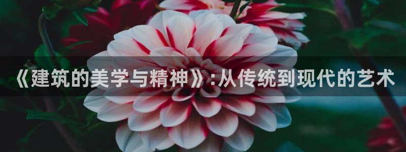 谈球吧体育app下载官网：《建筑的美学与精神》:从传统到现代的艺术