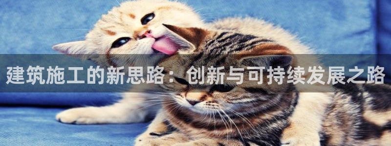 谈球吧网页版