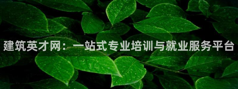 谈球吧下载地址：建筑英才网：一站式专业培训与就业服务平台