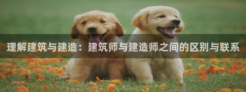 谈球吧全站app下载手机版：理解建筑与建造：建筑师与建造师之间的区别与联系