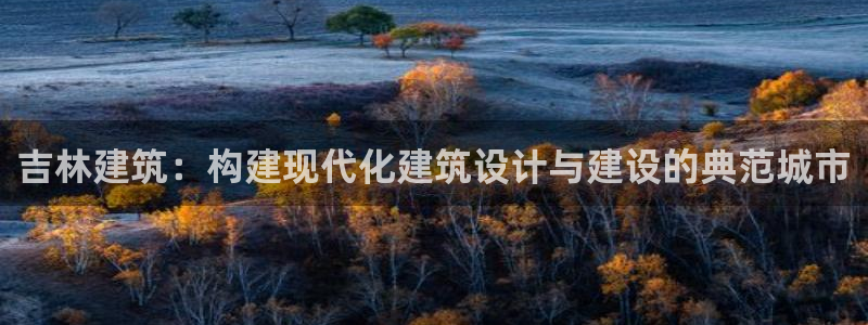 谈球吧入口