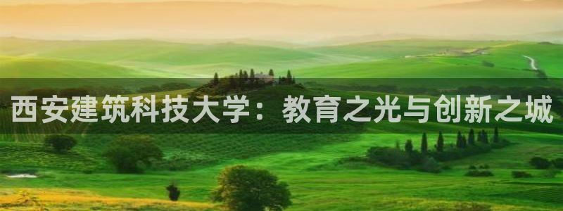 谈球吧买球靠谱吗