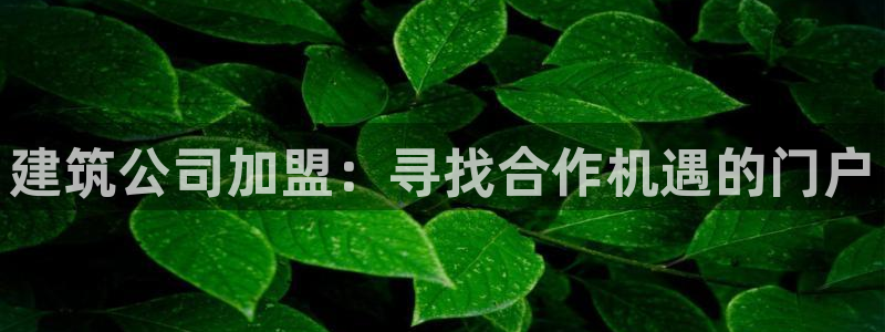 谈球吧出款怎样?