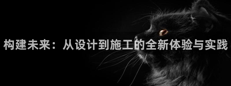 谈球吧网页登陆