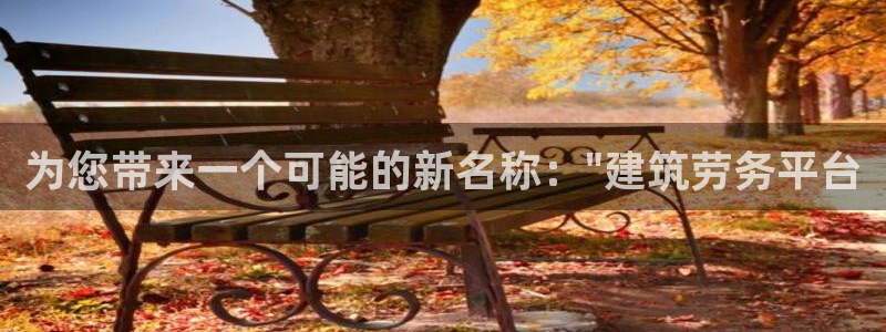 谈球吧官网在线入口手机版：为您带来一个可能的新名称：\